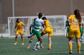 Santos vs Tigres J13 C2023 Liga MX @tar.mx