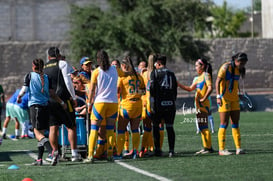 Santos vs Tigres femenil sub 19 @tar.mx