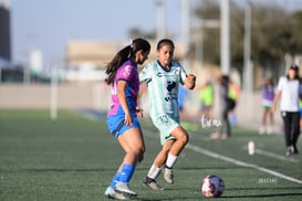 Santos Laguna vs Rayadas Monterrey S19 @tar.mx