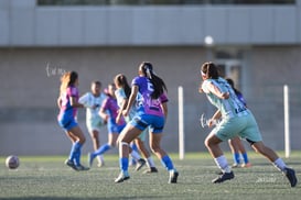 Santos Laguna vs Rayadas Monterrey S19 @tar.mx