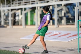 Santos Laguna vs Rayadas Monterrey S19 @tar.mx