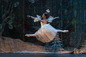 El Cascanueces, ballet fotografías