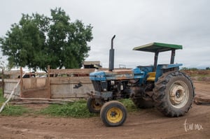 Tractor | Segunda copa ecuestre Las Brisas