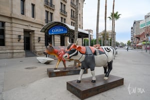 Vacas museo Arocena | Caminata por el centro de Torreón