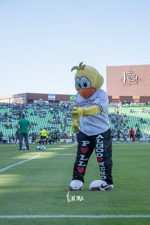 El pollo | Santos vs FC Juárez jornada 3 apertura 2019 Liga MX