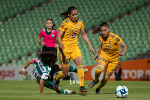 Cinthya Peraza, Selene Cortés, Christian Jaramillo | Santos vs Tigres jornada 3 apertura 2019 Liga MX femenil