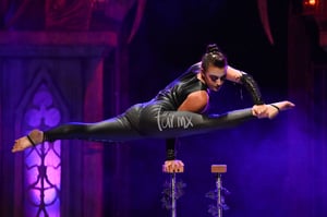 acróbata | The Vampire Circus