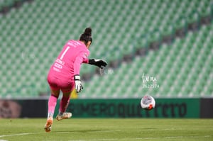 Santos vs Rayadas del Monterrey