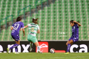 Santos vs Rayadas del Monterrey