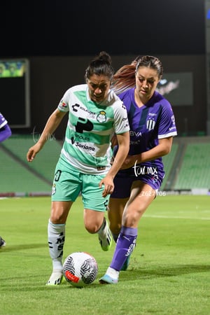 Santos vs Rayadas del Monterrey