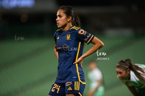 Santos vs Tigres femenil