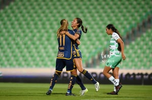 Santos vs Tigres femenil