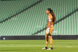 Santos Laguna vs Querétaro femenil