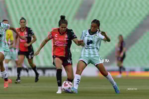 Santos vs Atlas femenil