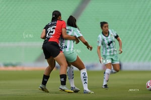 Santos vs Atlas femenil