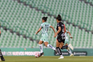 Santos vs Atlas femenil