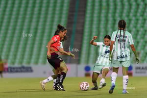 Santos vs Atlas femenil