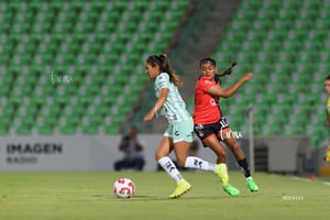 Santos vs Atlas femenil