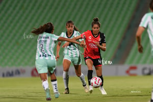 Santos vs Atlas femenil