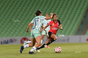 Santos vs Atlas femenil