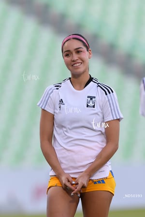 Santos vs Tigres femenil J7