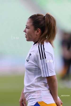 Santos vs Tigres femenil J7