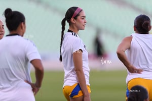 Santos vs Tigres femenil J7