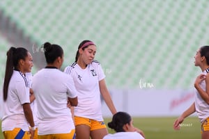 Santos vs Tigres femenil J7