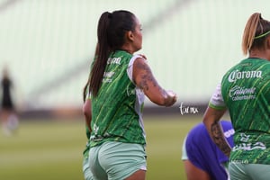 Santos vs Tigres femenil J7