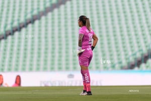 Santos vs Tigres femenil J7