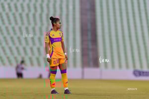 Santos vs Tigres femenil J7
