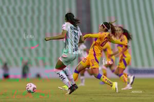 Santos vs Tigres femenil J7