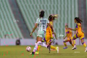 Santos vs Tigres femenil J7