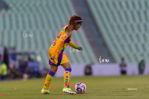 Santos vs Tigres femenil J7