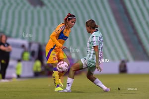 Santos vs Tigres femenil J7