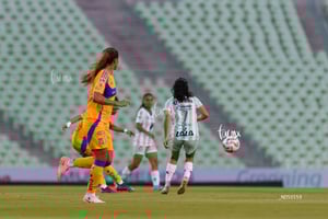 Santos vs Tigres femenil J7