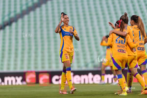 Santos vs Tigres femenil J7