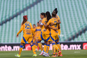 Santos vs Tigres femenil J7