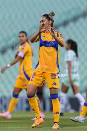 Santos vs Tigres femenil J7