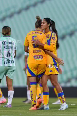 Santos vs Tigres femenil J7