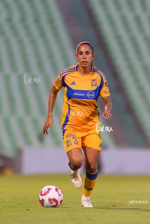 Santos vs Tigres femenil J7
