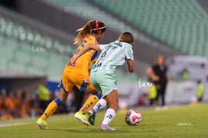 Santos vs Tigres femenil J7