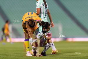 Santos vs Tigres femenil J7