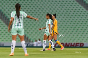 Santos vs Tigres femenil J7
