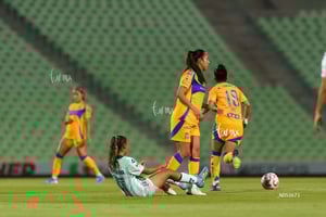 Santos vs Tigres femenil J7