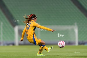 Santos vs Tigres femenil J7