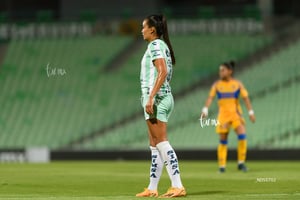 Santos vs Tigres femenil J7