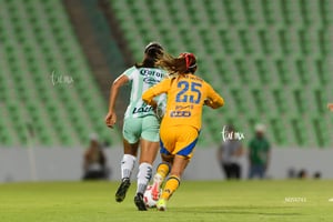 Santos vs Tigres femenil J7
