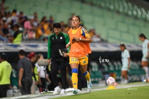 Santos vs Tigres femenil J7
