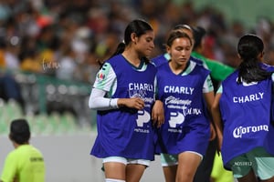 Santos vs Tigres femenil J7